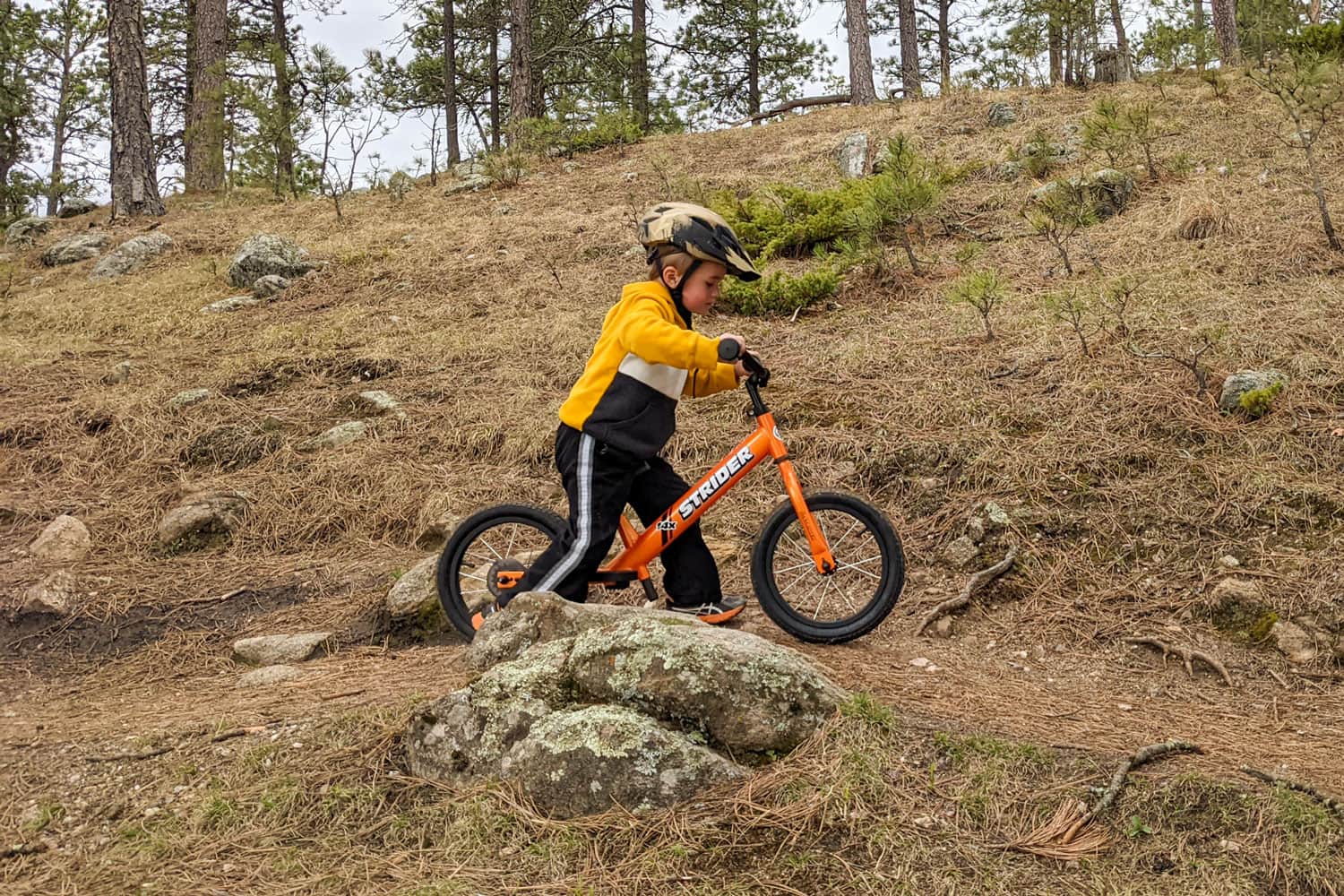 A child riding a Totally Tangerine colored Strider 14x Sport balance bike on a forest trail